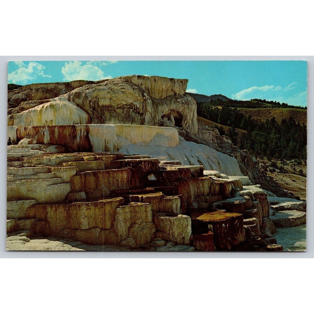 Vtg Yellowstone Postcard Minerva Terrace Haynes Studios Curteichcolor 2DK-337